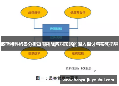 波斯特科格鲁分析每周挑战应对策略的深入探讨与实践指导